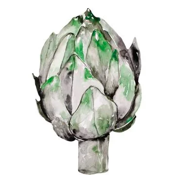 Vegetables artichoke pattern. Vegetables artichoke pattern. animals, wuhan Stock Illustration