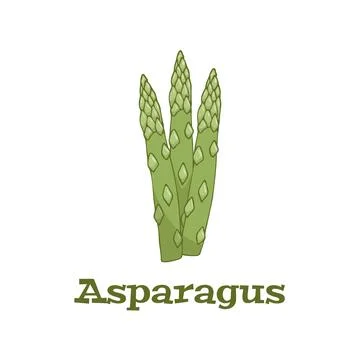 Vegetables. Asparagus green sprouts. Vector illustration cartoon flat icon Stock Illustration