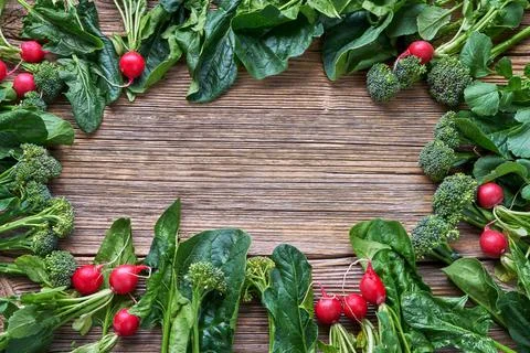 Vegetables background. Radish, broccoli, spinach leaves with copy space in the Stock Photos
