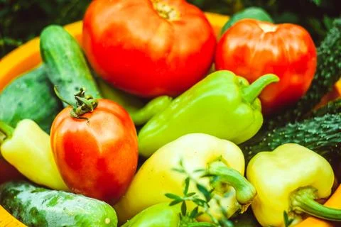 Vegetables in a basin on a grass Stock Photos