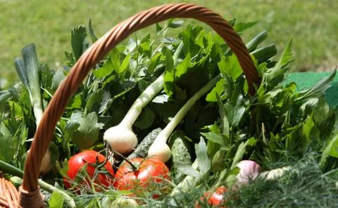 Vegetables basket close up Stock Photos