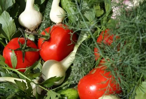 Vegetables basket close up Stock Photos