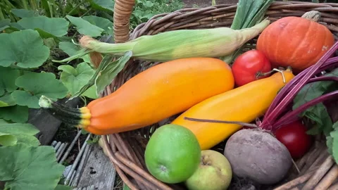 Vegetables in Basket Stock Footage 268394418