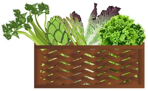 Vegetables in the basket Stock Illustration