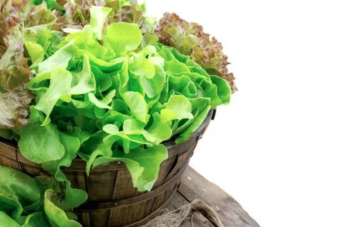 Vegetables on basket with isolated background. Fotos de archivo