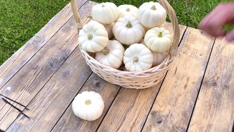 Vegetables in a basket in nature. Stock Footage 211320824