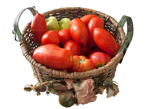 Vegetables in basket 스톡 사진