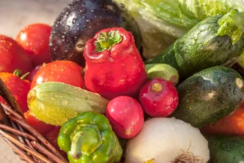 Vegetables basket Foto stock