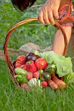 Vegetables basket Foto stock