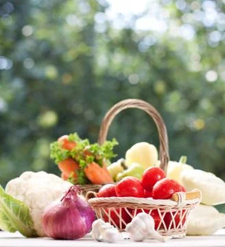 Vegetables in the basket Stock Photos