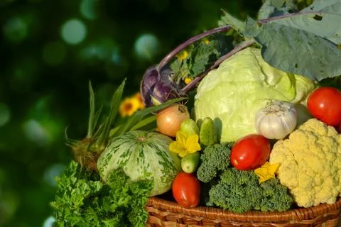 Vegetables in basket Stock Photos