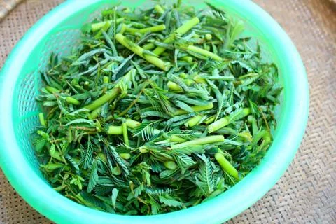 The vegetables in a basket Stock Photos