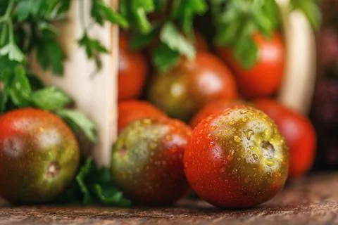 Vegetables in the basket on the table. Stock Photos