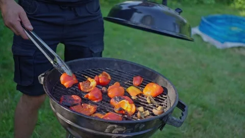 Vegetables bbq in a round grill in a meadow. Grilled peppers. Summer picnic 库存影片 252823845