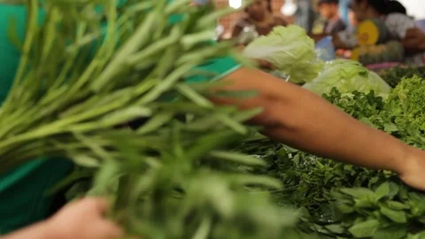Vegetables being bought at the local fresh market in Thailand Stock Footage 88168186