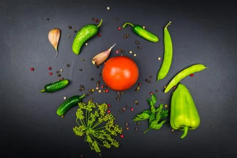Vegetables on a black background Stock Photos
