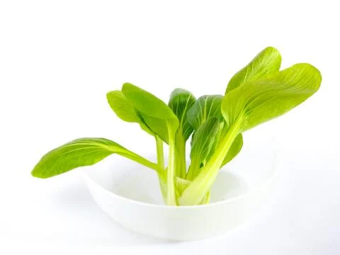 Vegetables in a bowl with a white background Stock Photos
