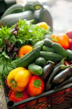Vegetables in the box are intended for fermentation. Eggplant, peppers, tomat Stock Photos