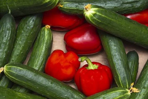 Vegetables in a box Foto stock