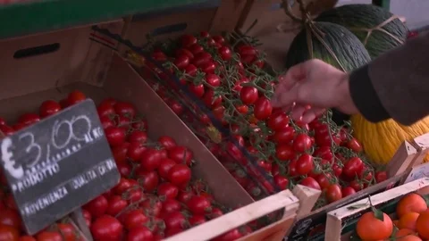 Vegetables in boxes on the market Stock Footage 71917911