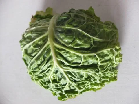 Vegetables cabbage Stock Photos