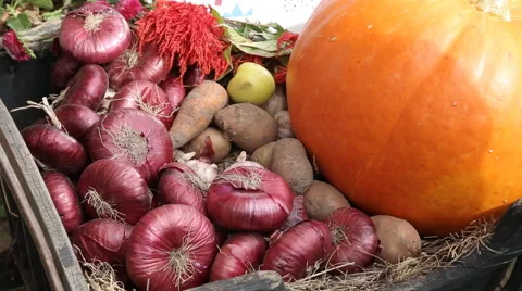 Vegetables, camera dolly, healthy eating, food Stock Footage 67880326