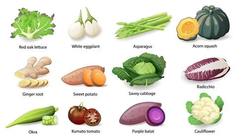 Vegetables with caption titles set, vector flat style illustration. Stock Illustration