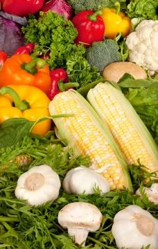 Vegetables closeup Stock Photos