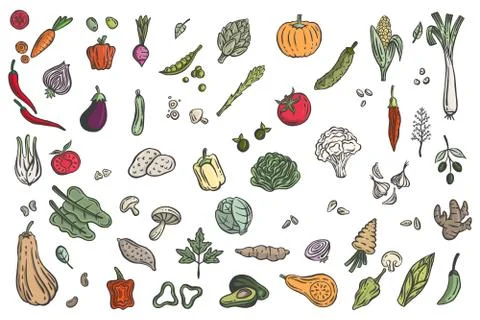 Vegetables collection hand drawn Stock Illustration