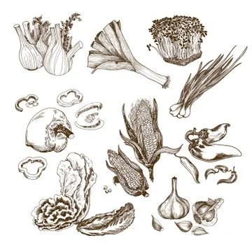 Vegetables collection Stock Illustration
