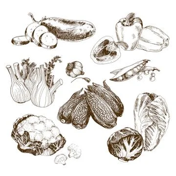 Vegetables collection Stock Illustration