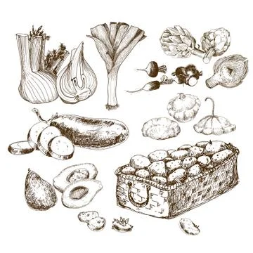 Vegetables collection. Stock Illustration
