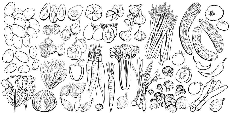 Vegetables Colored Icon Set. Vector Illustration in Black Lines Isolated on.. Illustrazione stock