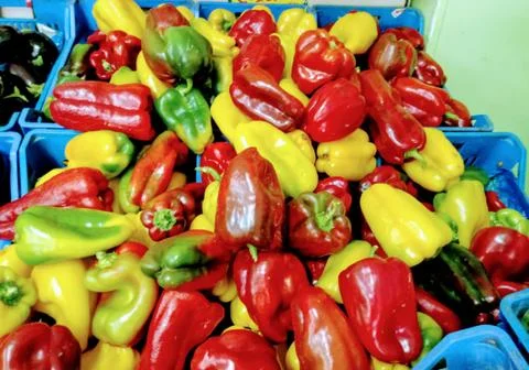 Vegetables, colored peppers Stock Photos