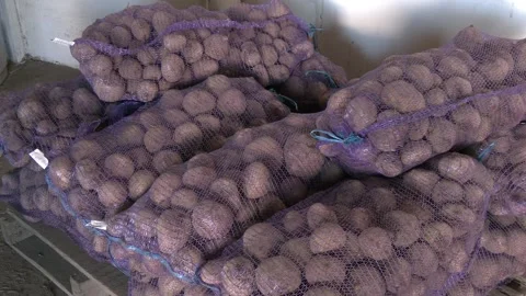 Vegetables in containers are stored in the warehouse. Stock Footage 296086613
