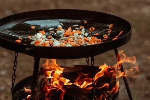 Vegetables cooked on a grill pan over an open fire in the woods. Cooking Stock Photos