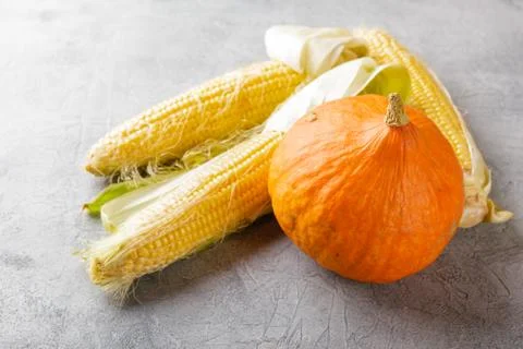 Vegetables corn and pumpkin Stock Photos