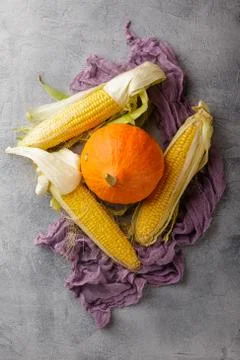 Vegetables corn and pumpkin Stock Photos