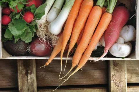 Vegetables in a crate Stock Photos
