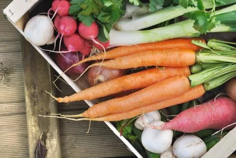 Vegetables in a crate Stock Photos