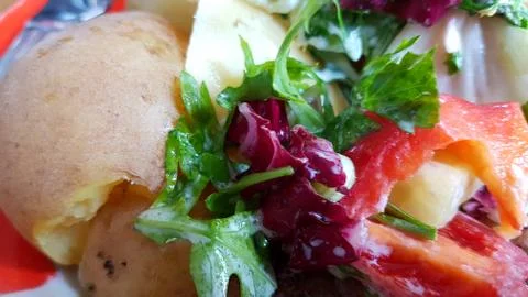 The vegetables in the dish. 写真素材