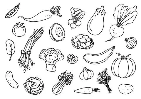 Vegetables doodle drawing collection in line style Stock Illustration