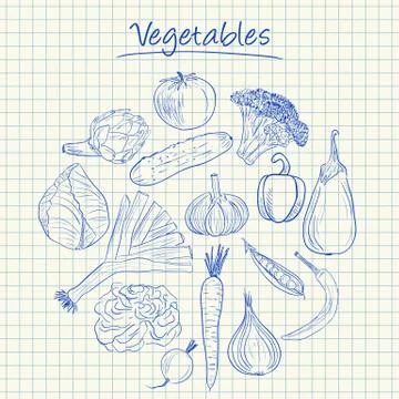 Vegetables doodles - squared paper Stock Illustration