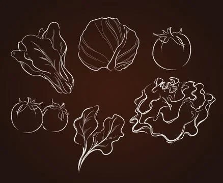 Vegetables drawing vector illustration Stock Illustration
