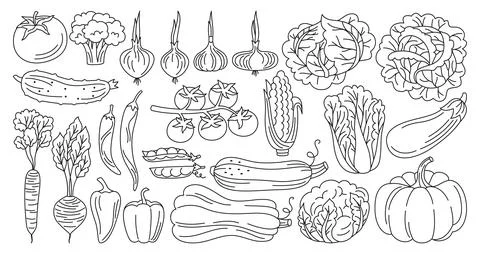 Vegetables drawn doodle linear style set healthy diet food farm product veggies Stock Illustration