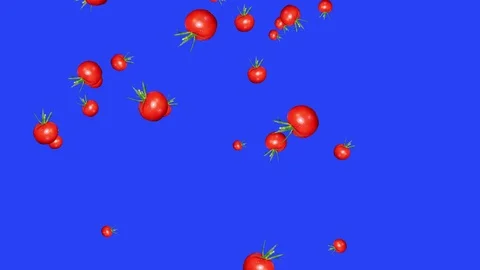 Vegetables falling animation chroma key element loop, tomato Stock Footage 126923405