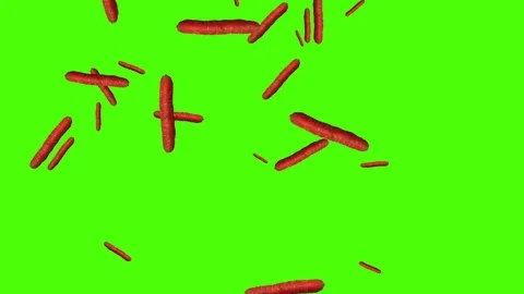 Vegetables falling animation chroma key element loop, carrots Stock Footage 126926723