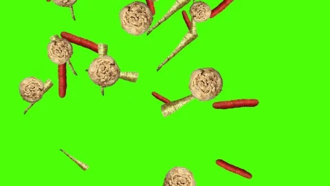 Vegetables falling animation chroma key element loop, celery, parsnip, carrots Stock Footage 126927059
