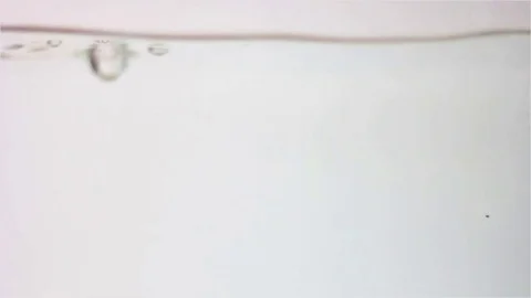 Vegetables falling into water Stock Footage 74061118