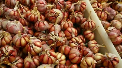 Vegetables from the farm Stock Footage 22010402